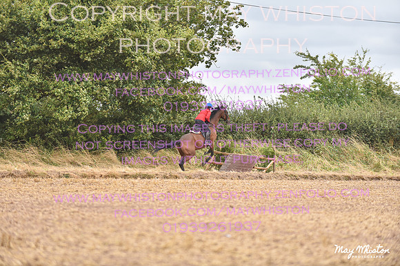 MAY_4631