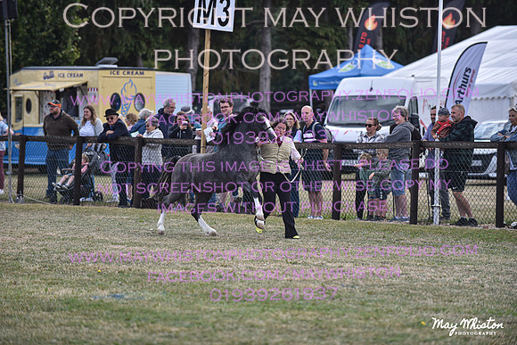 MAY_6751