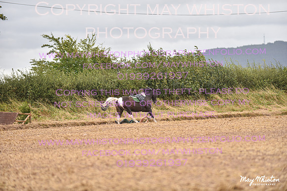 MAY_4652