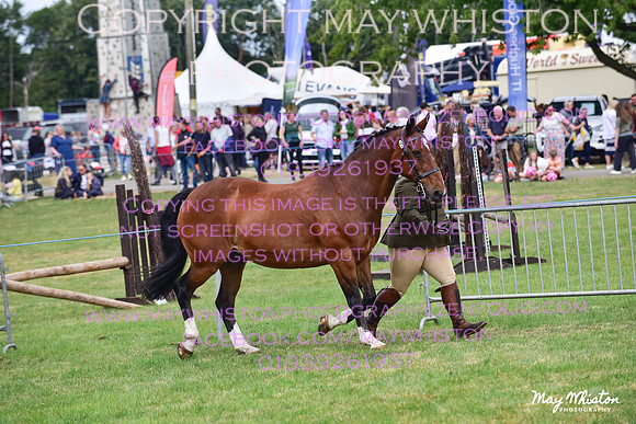 MAY_3546