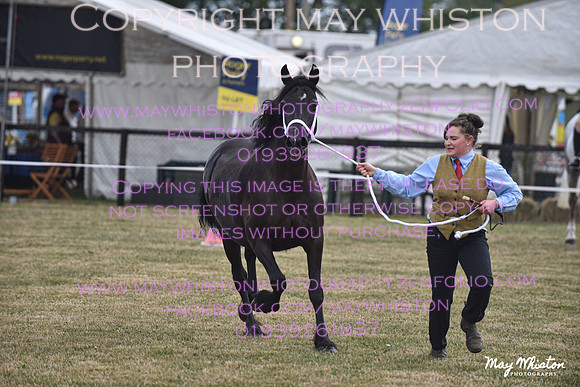 MAY_6775