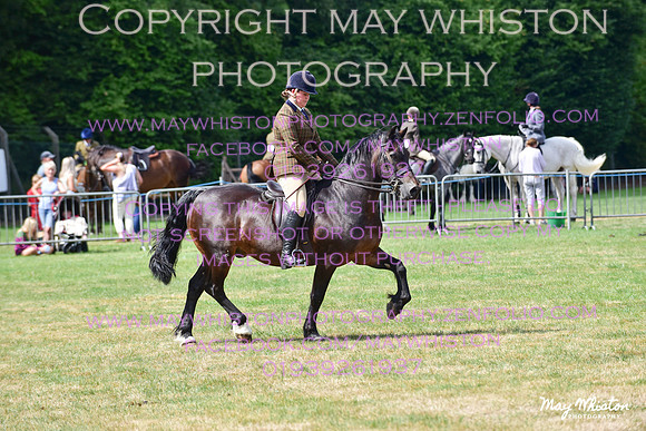 MAY_4067