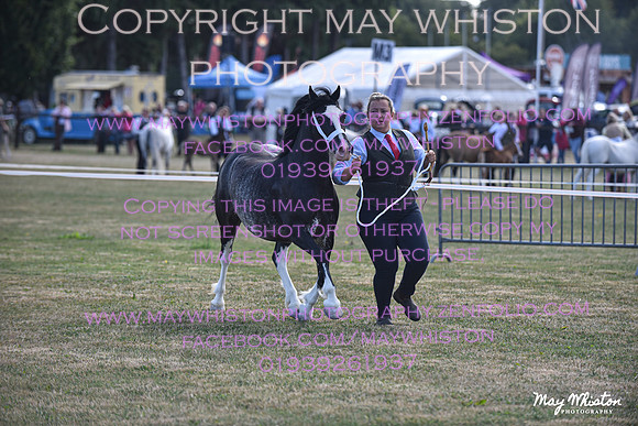 MAY_6534