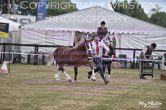 MAY_6768