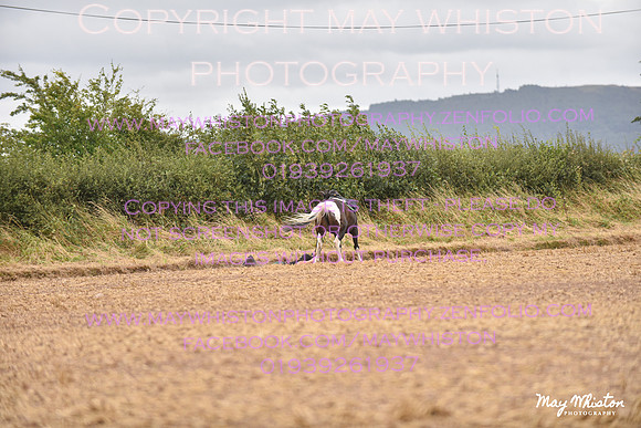 MAY_4655