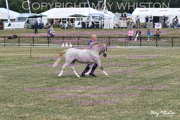 MAY_6713